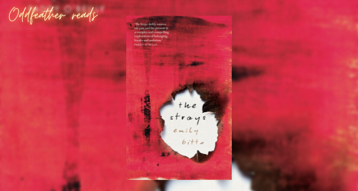 the strays emily bitto review